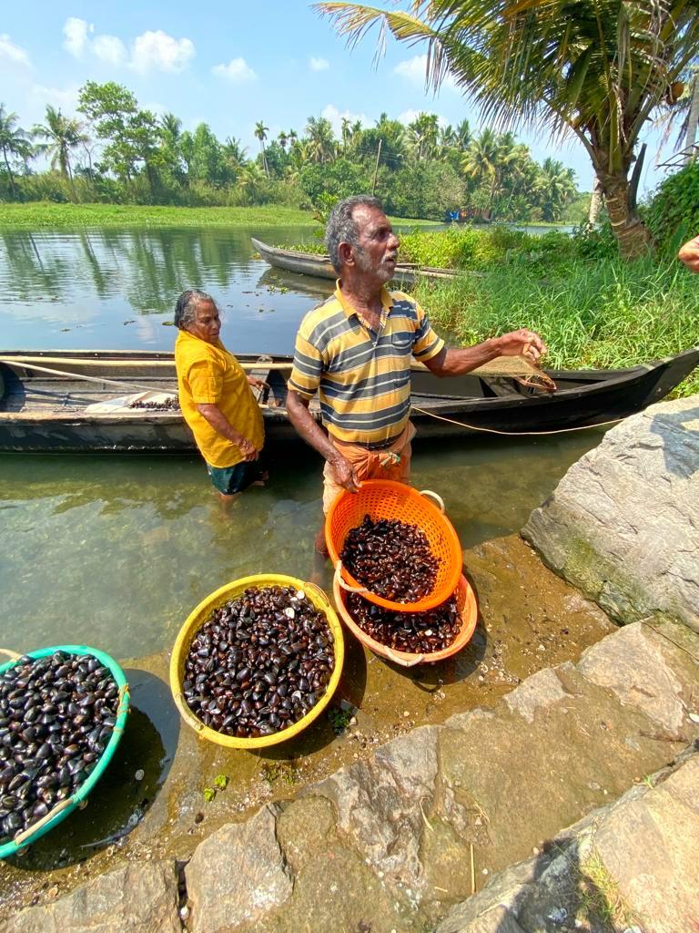 backwaters Kerala copyright Catherine HubertGirod @ visiterGenève