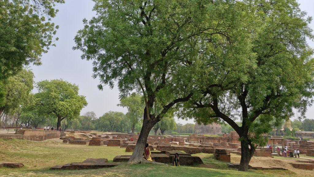 Sarnath site archéologique
