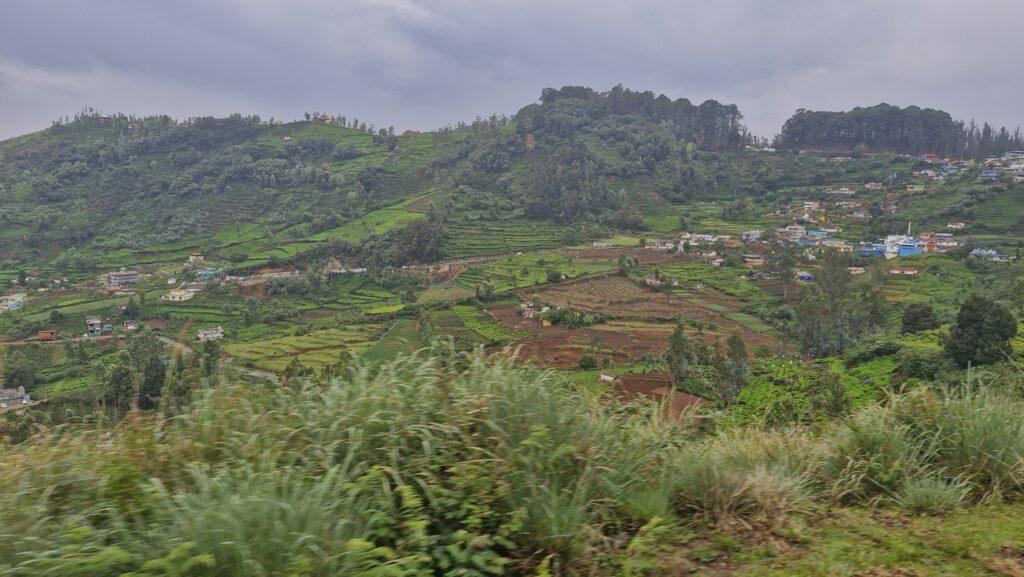 plantations de thé près de Coonoor