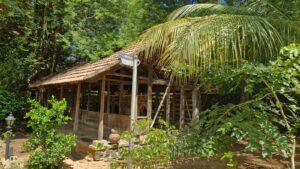 Visite de Dakshina Chitra