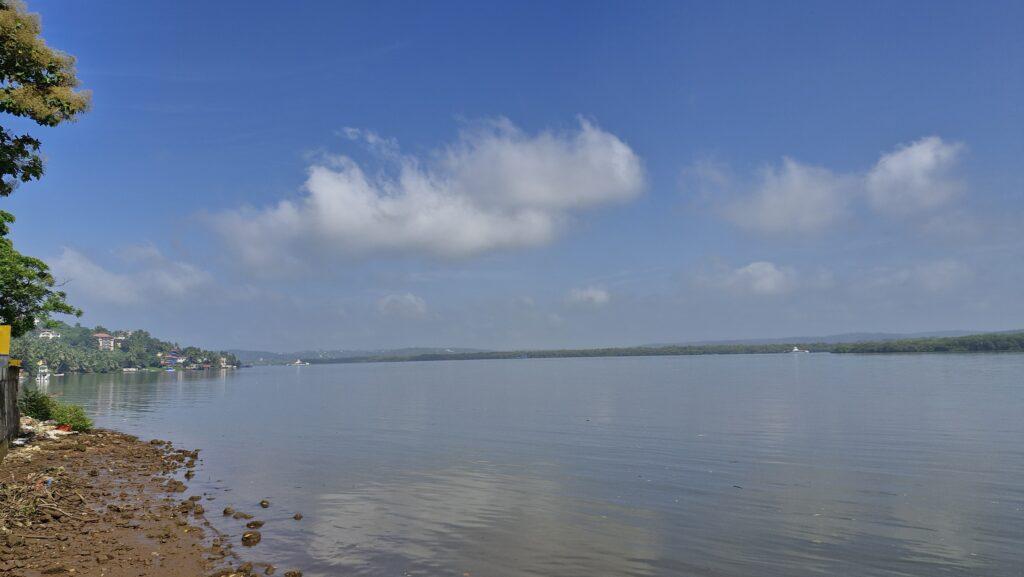 Mandovi river